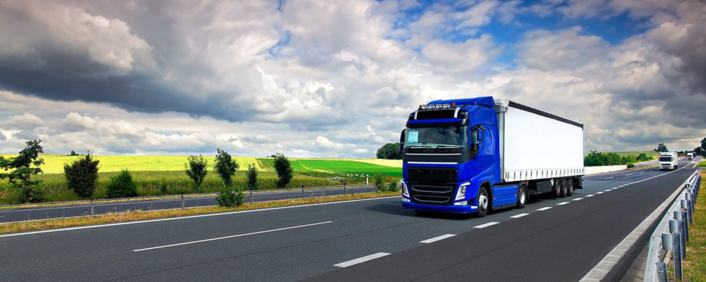 Transporte Terrestre Delfin Group