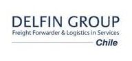 Delfin Group
