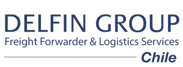 Delfin Group